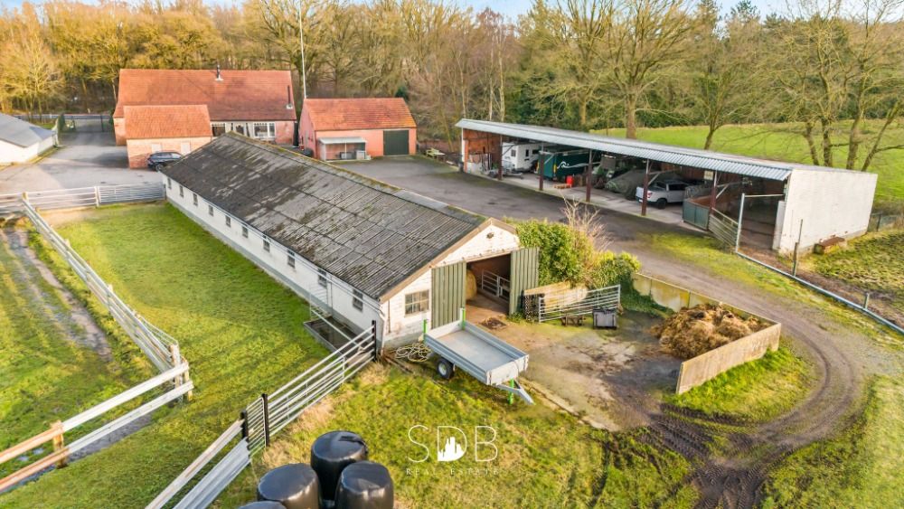 Authentieke hoeve met diverse nbijgebouwen en graslanden op 93.155m2 - Foto 2