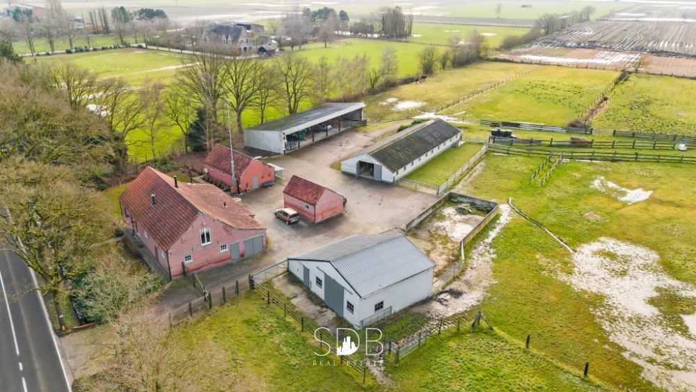 Authentieke hoeve met diverse nbijgebouwen en graslanden op 93.155m2 - Foto 5