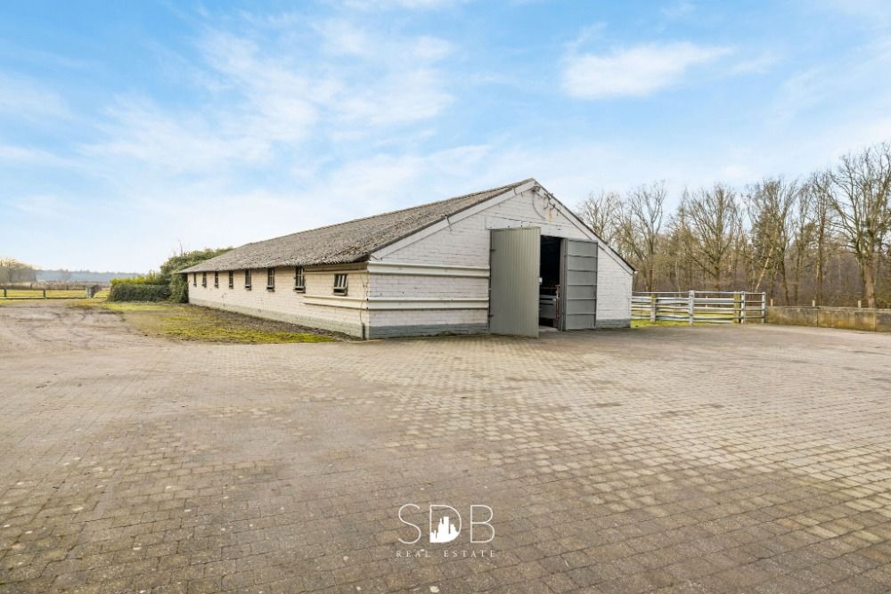Authentieke hoeve met diverse nbijgebouwen en graslanden op 93.155m2 - Foto 3