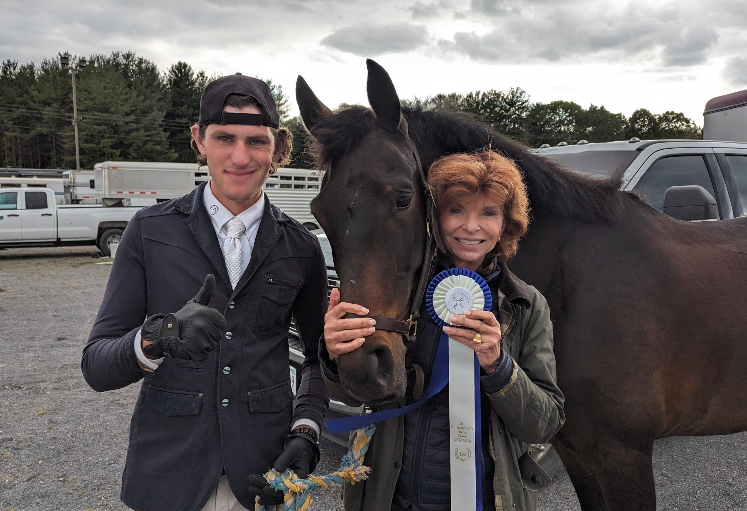 North American Studbook dressuurpaard gelding 8 years old Bay for sale - Photo 6