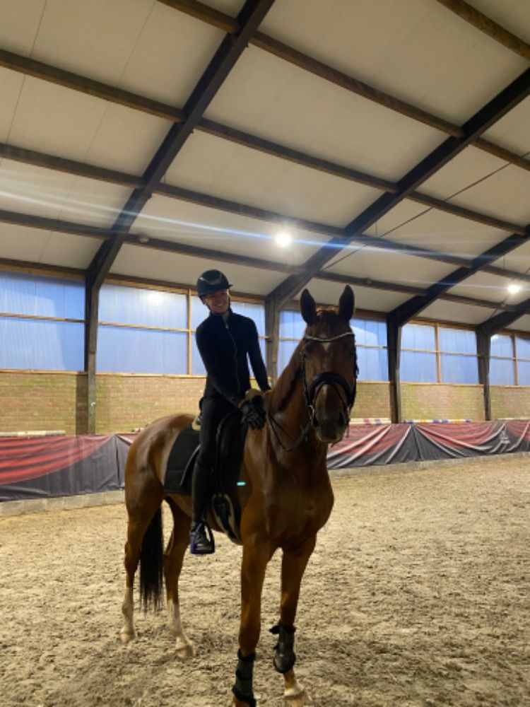 KWPN dressuurpaard Merrie 4 jaar Vos te koop - Foto 2