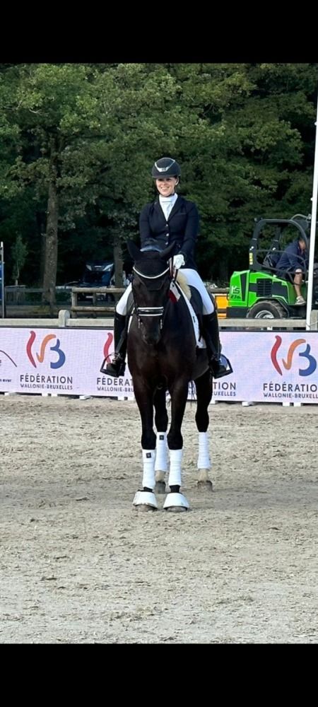 Oldenburg dressuurpaard Ruin 9 jaar Zwart te koop - Foto 6