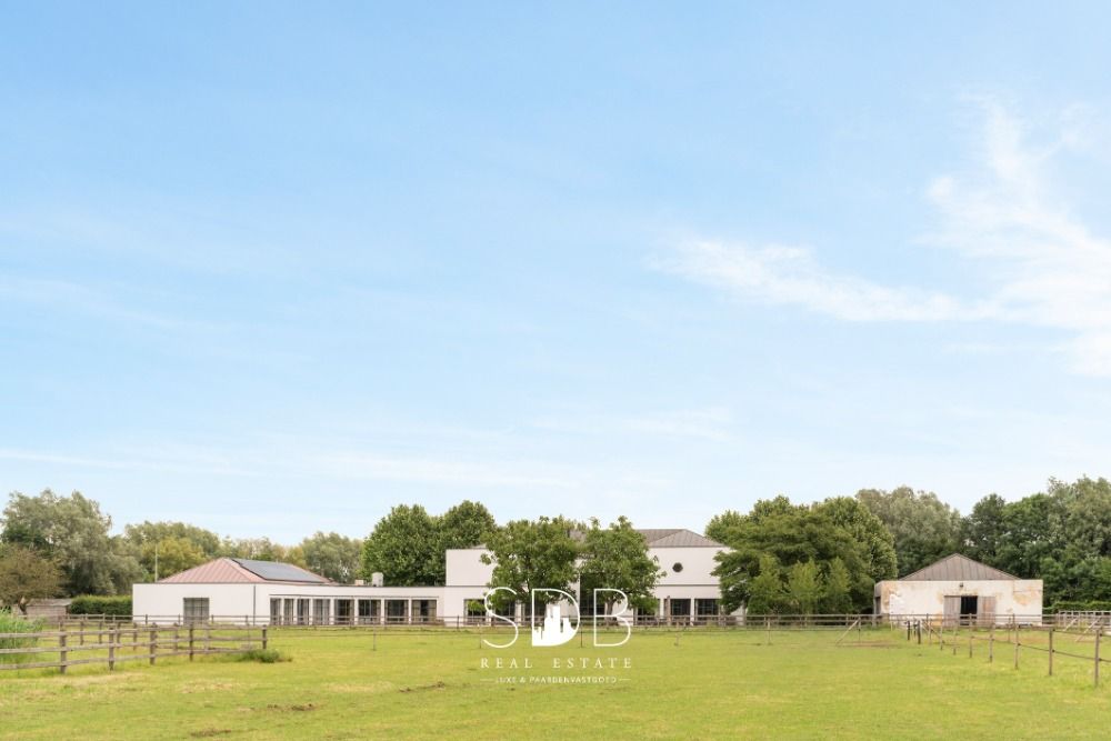 Prachtige villa met hippische accommodatie en graslanden op +/- 23hectare te Deinze - Foto 3