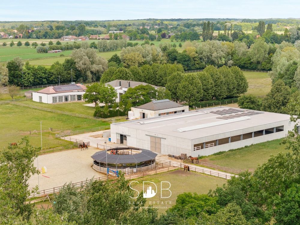 Prachtige villa met hippische accommodatie en graslanden op +/- 23hectare te Deinze - Foto 5