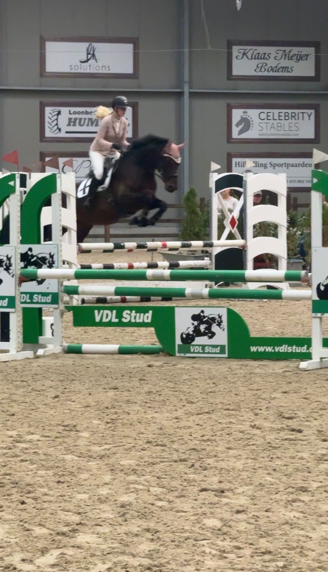 springpaard merrie 7 years old for sale - Photo 4