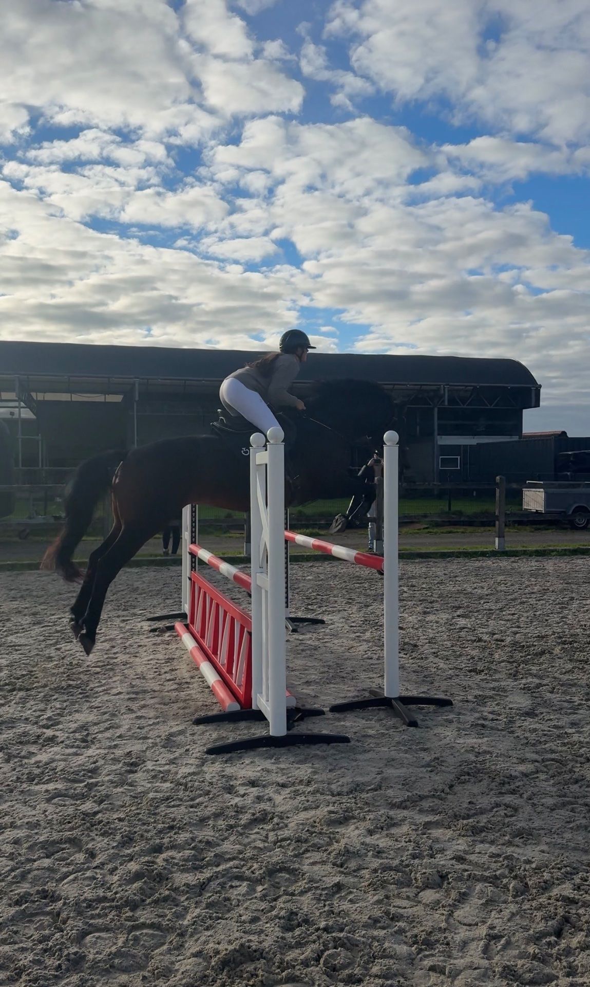 springpaard merrie 7 years old for sale - Photo 2