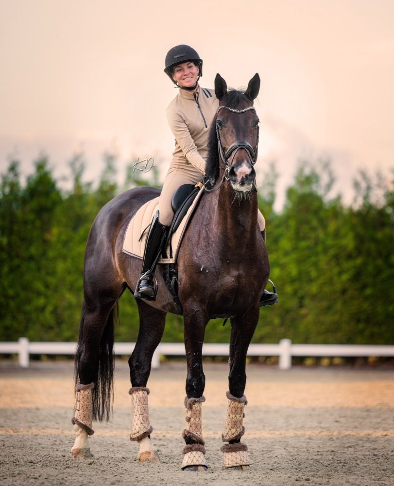 KWPN tuigpaard Merrie 11 years old Bruin for sale - Photo 3