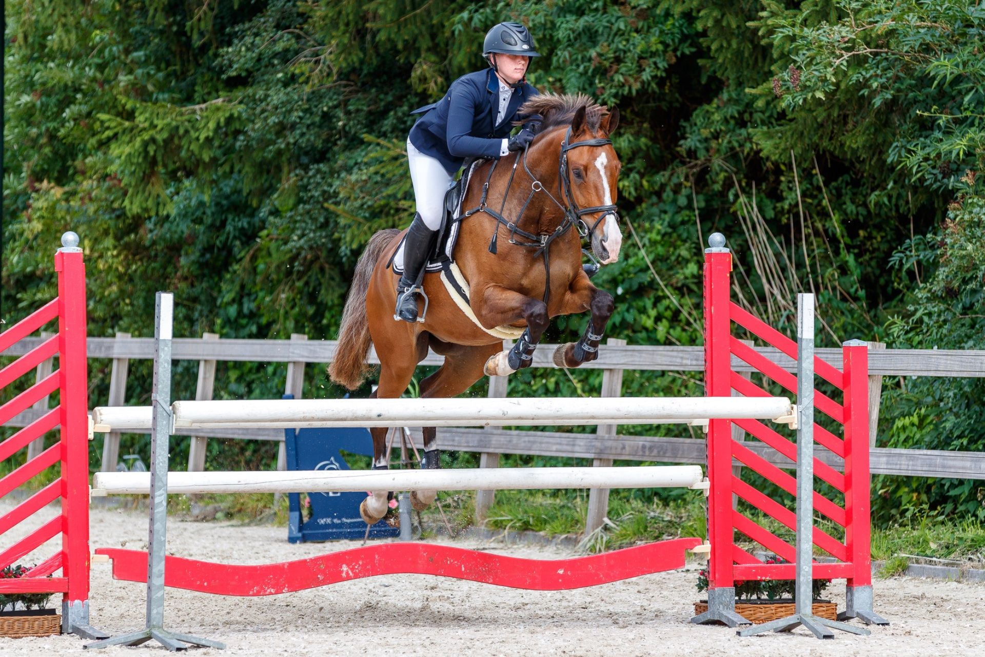 allrounder ruin 14 år till salu - Foto 3