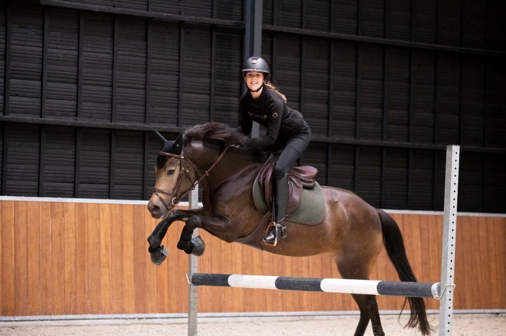 New Forest allround-pony Merrie 7 years old Andere for sale - Photo 2