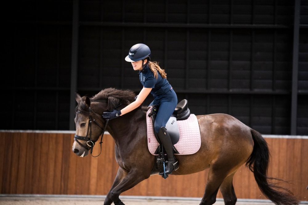 New Forest allround-pony Merrie 7 years old Andere for sale - Photo 4