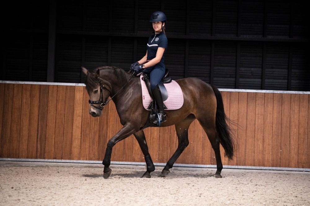 New Forest allround-pony Merrie 7 years old Andere for sale - Photo 3