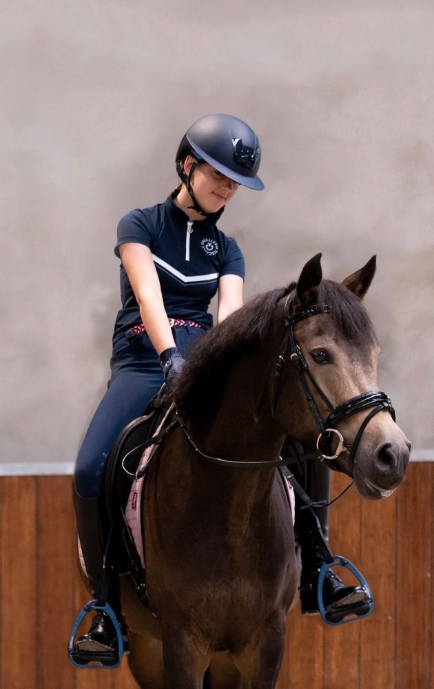 Very well-behaved, handsome D-pony