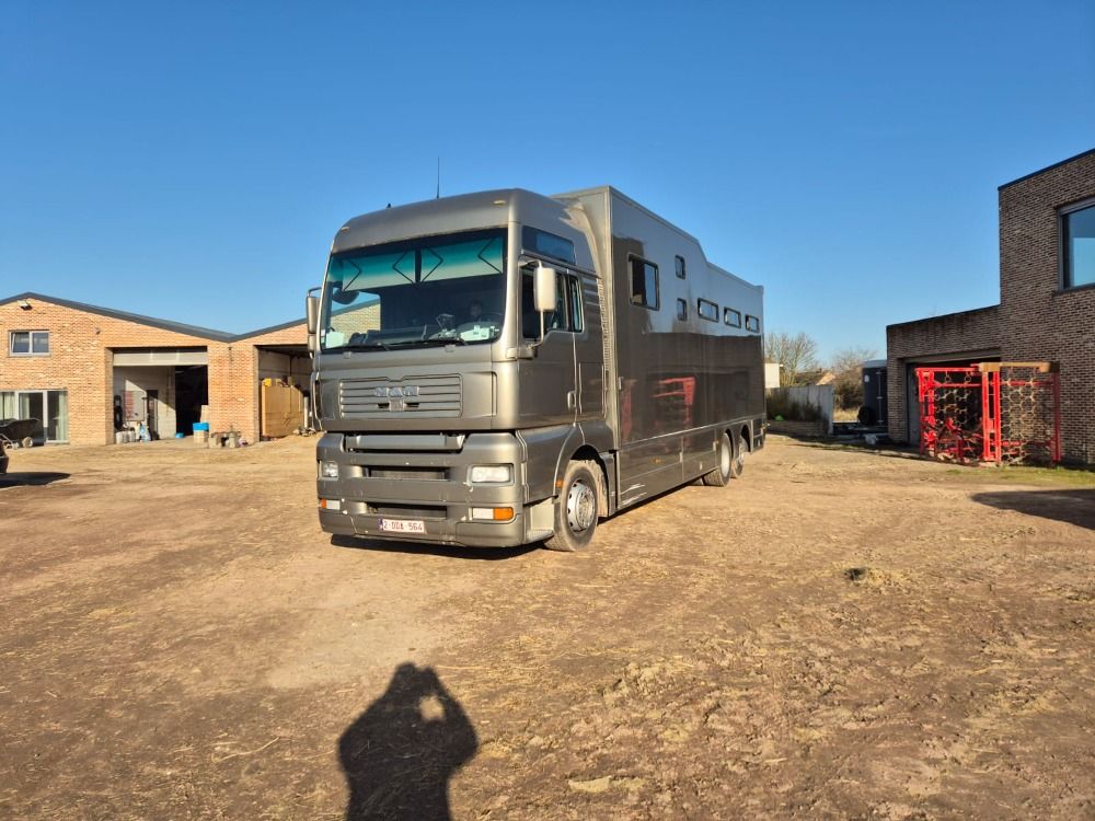 Automatische full option Paardenvrachtwagen