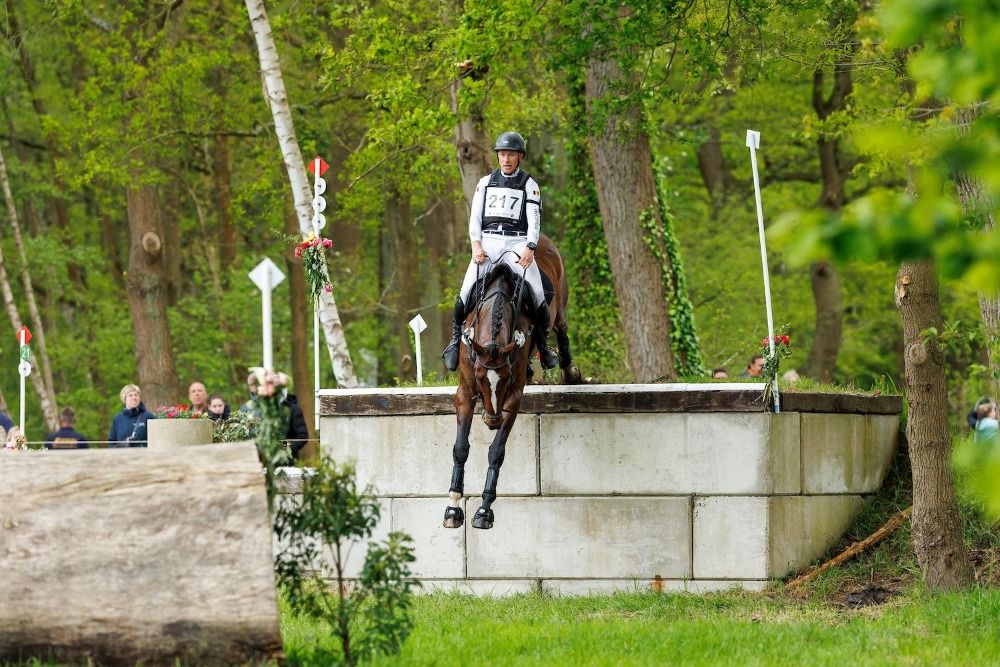 BWP eventingpaard Ruin 15 jaar Bruin te koop - Foto 4