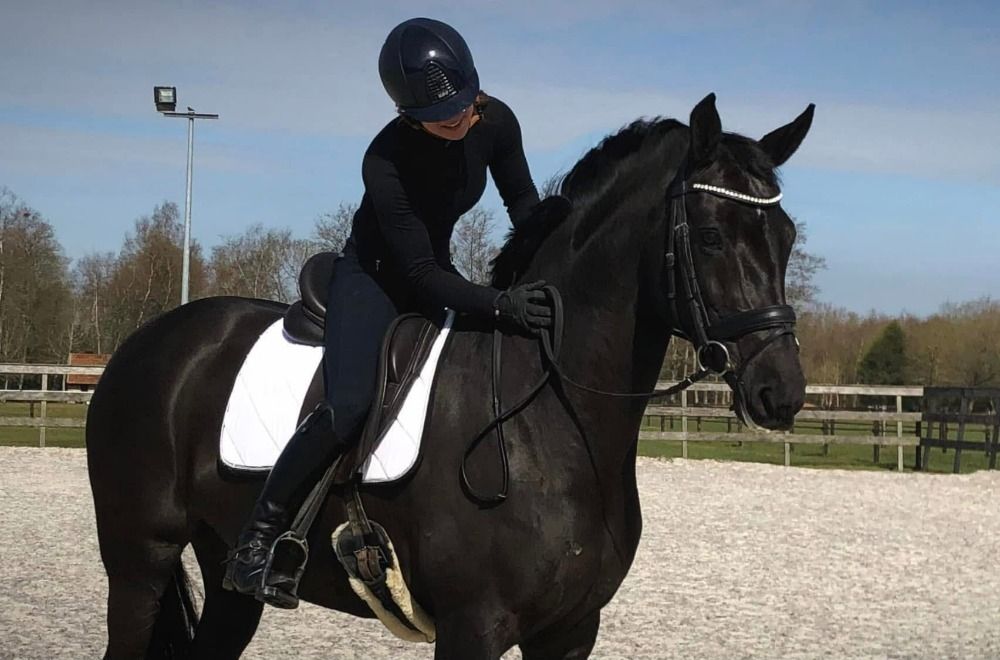 Oldenburg dressuurpaard Merrie 15 歳 Zwart 売り出し中 - 写真 4