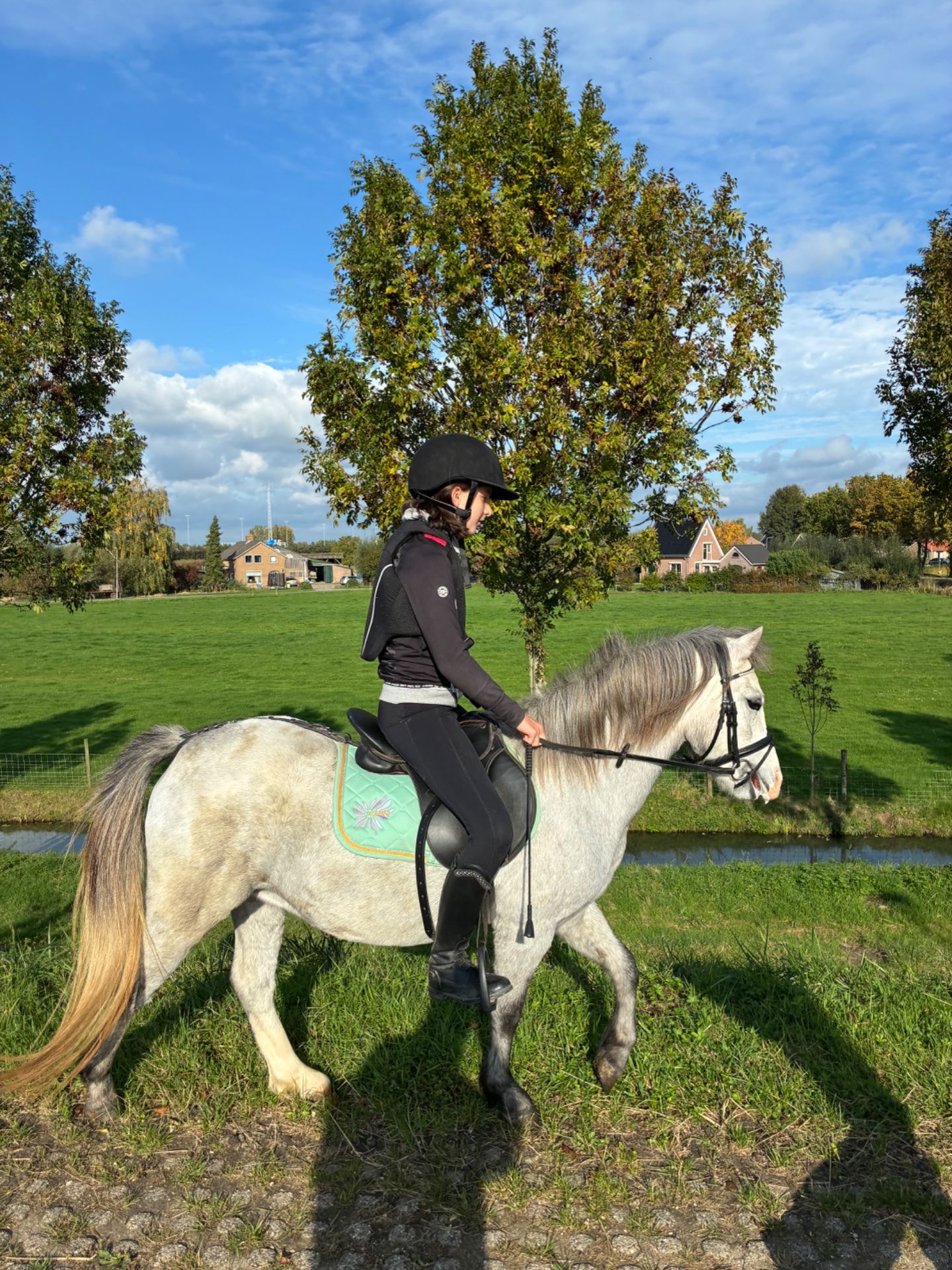 allround-pony merrie 4 år till salu - Foto 5