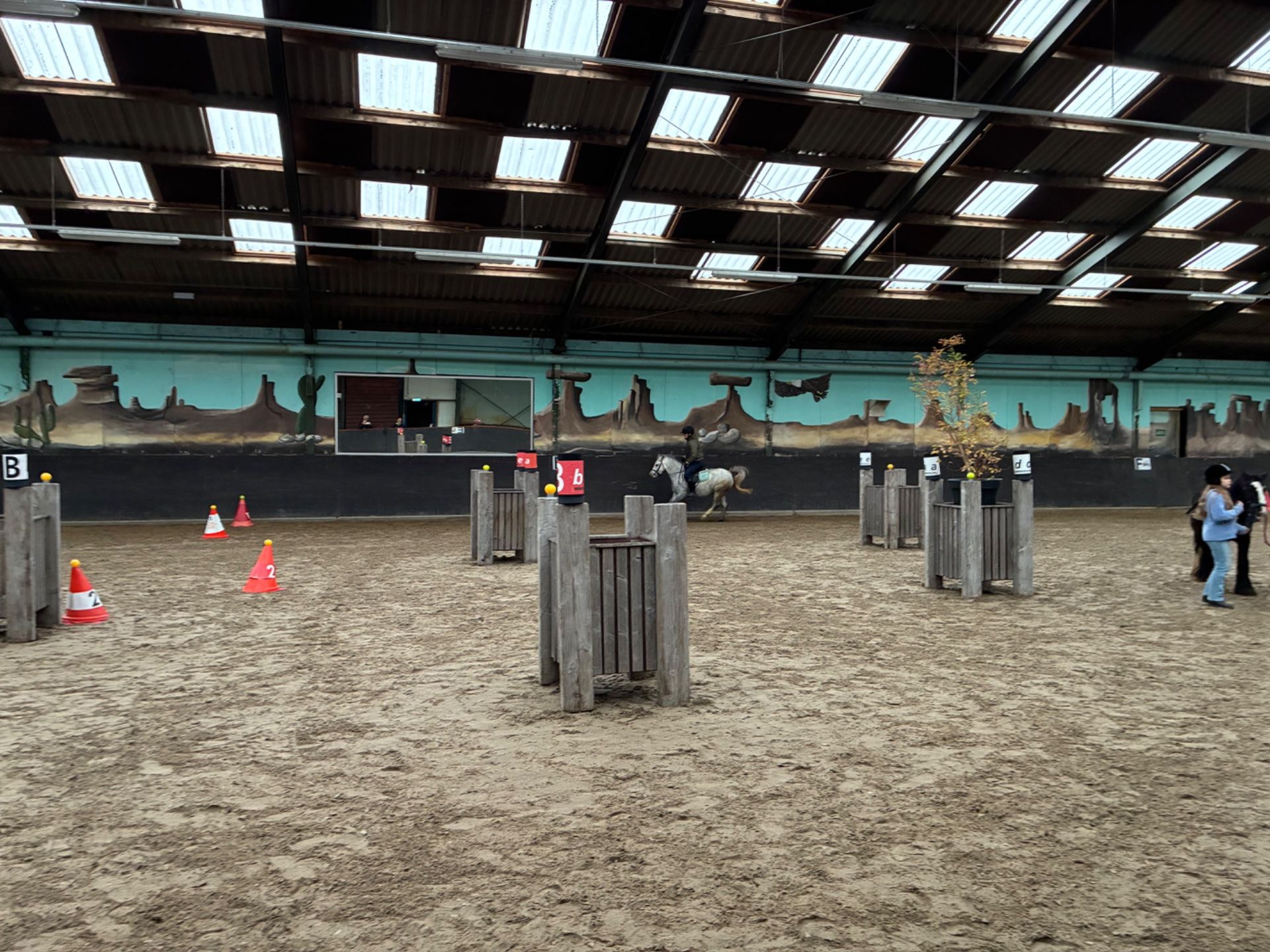 allround-pony merrie 4 år till salu - Foto 4