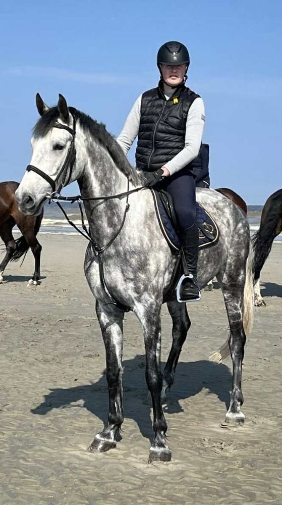 Mooie 7-jarige schimmelruin