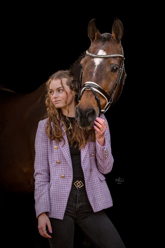 KWPN paard Merrie 19 jaar Bruin te koop - Foto 2