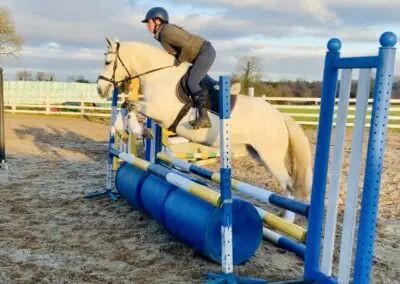 Connemara allround-pony Merrie 5 jaar Schimmel te koop - Foto 2