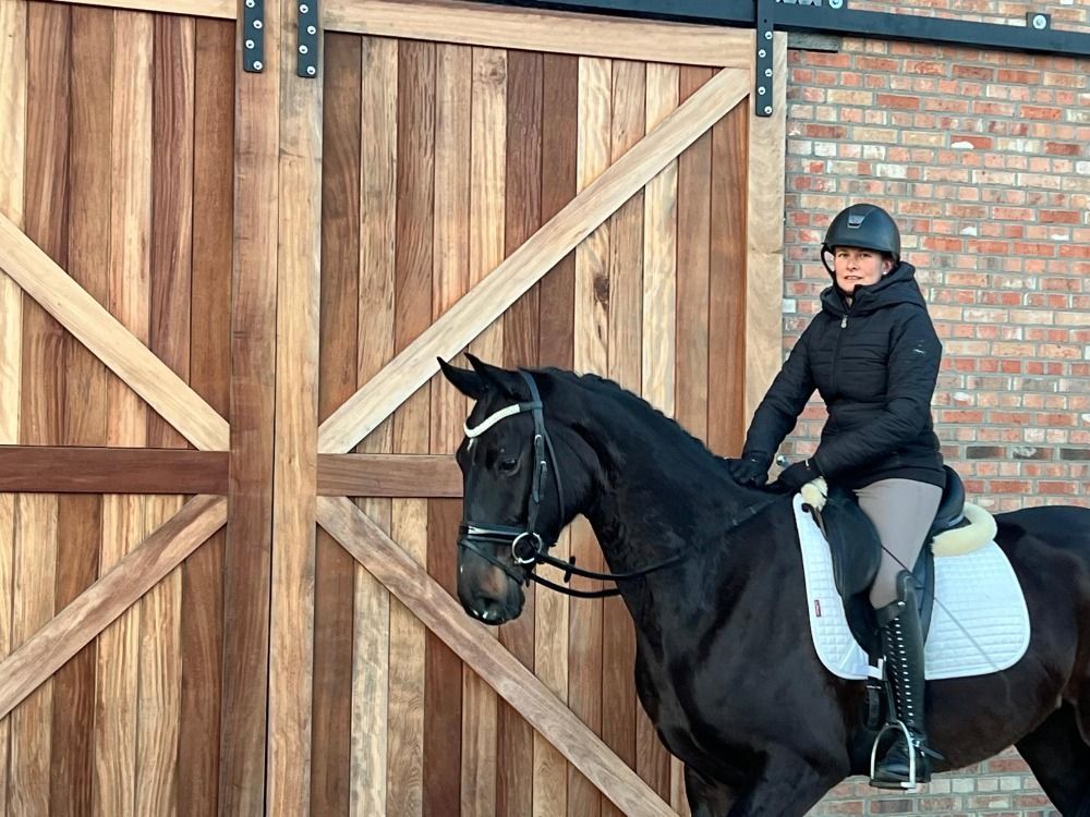 BWP dressuurpaard Ruin 4 ans Donkerbruin à vendre - Photo 2