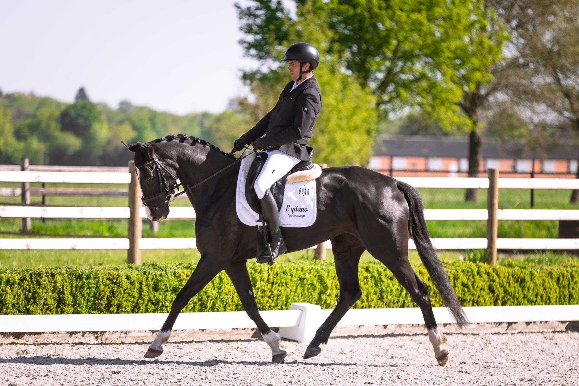kwpn dressuurpaard merrie 6 years old zwart for sale - Photo 3