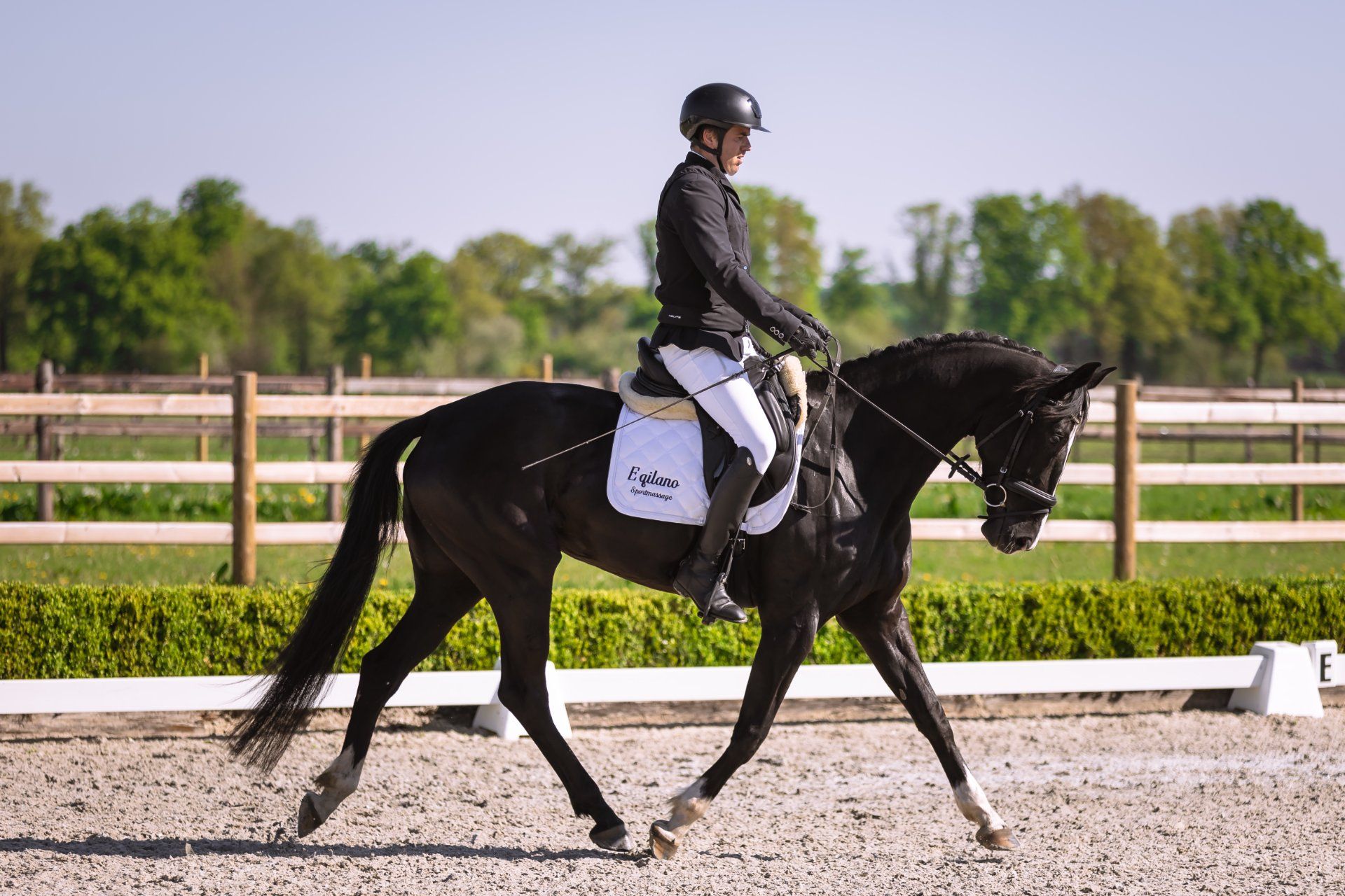 kwpn dressuurpaard merrie 6 years old zwart for sale - Photo 2