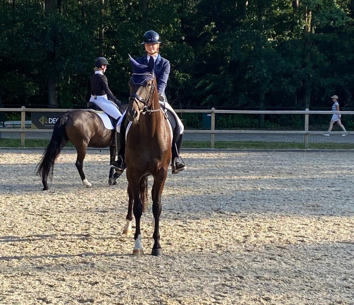 Dressuurpaard, Merrie, 5 jaar