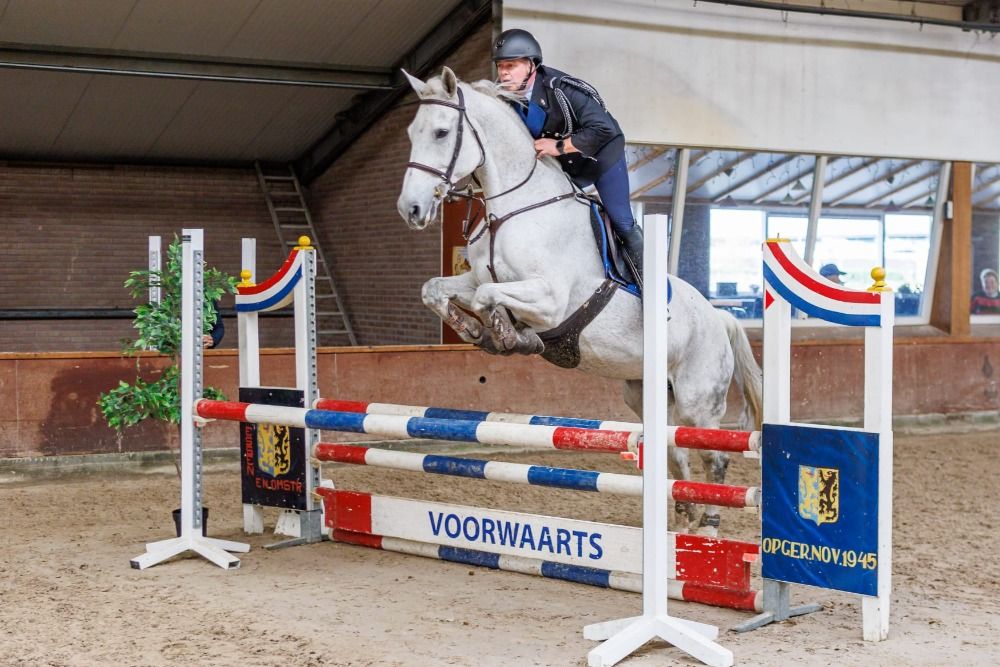 Zangersheide allrounder Merrie Andere te koop - Foto 3