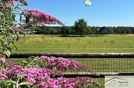 Professional equestrian center, NRW, Germany - Main photo