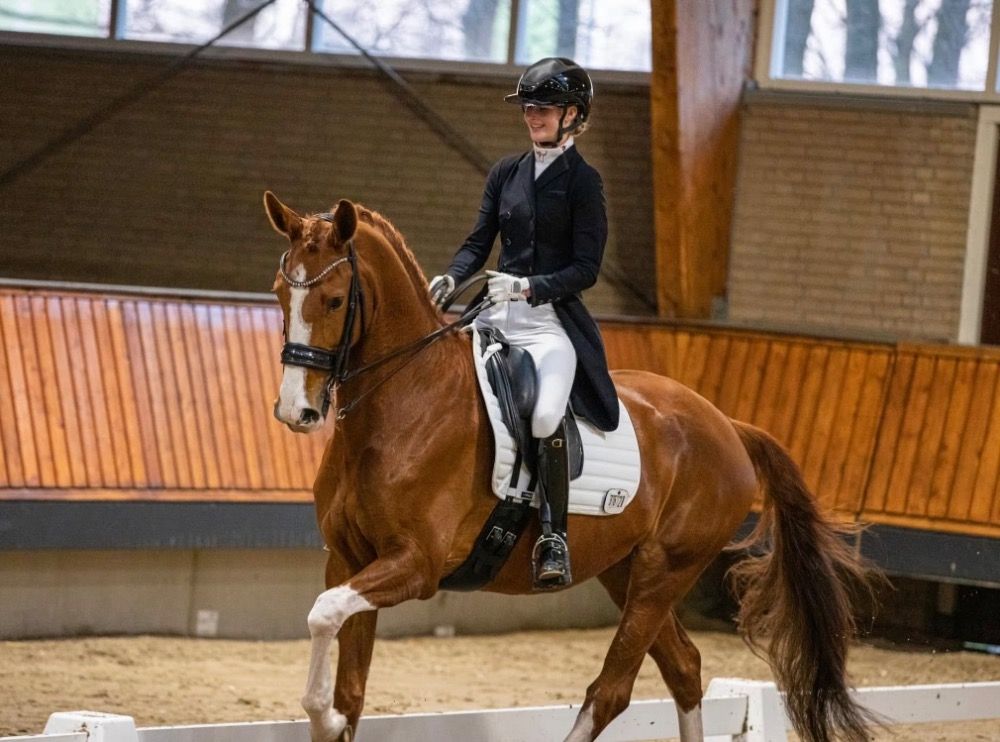 dressuurpaard Merrie 12 jaar Vos te koop - Foto 3