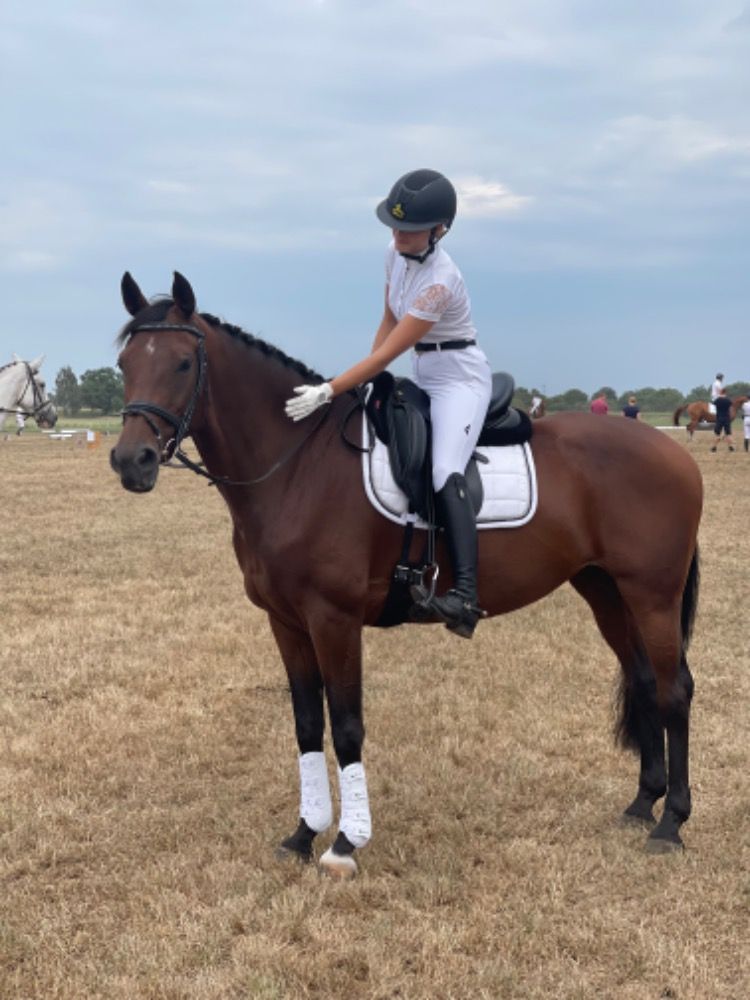 SBS allrounder Merrie 11 jaar Bruin te koop - Foto 5