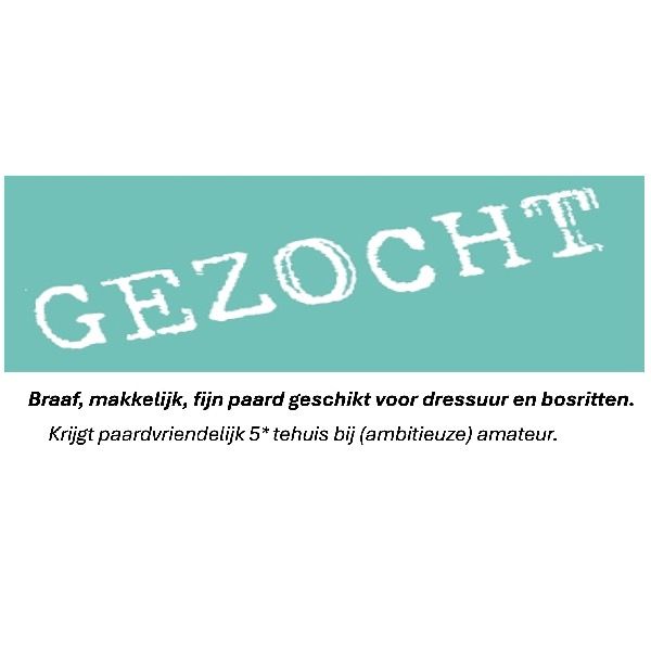 *GEZOCHT: betrouwbaar ongecompliceerd leerpaard*