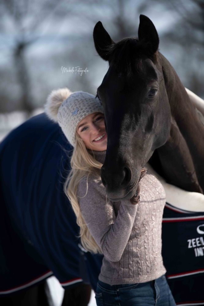KWPN dressuurpaard Merrie 10 jaar Zwart te koop - Foto 3