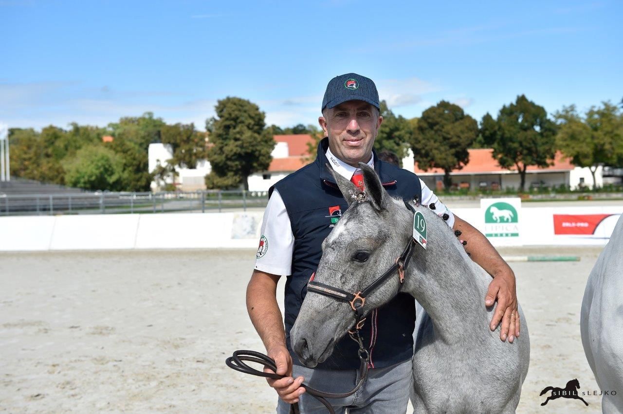 autre cheval pouliche 1 years old for sale - Photo 5