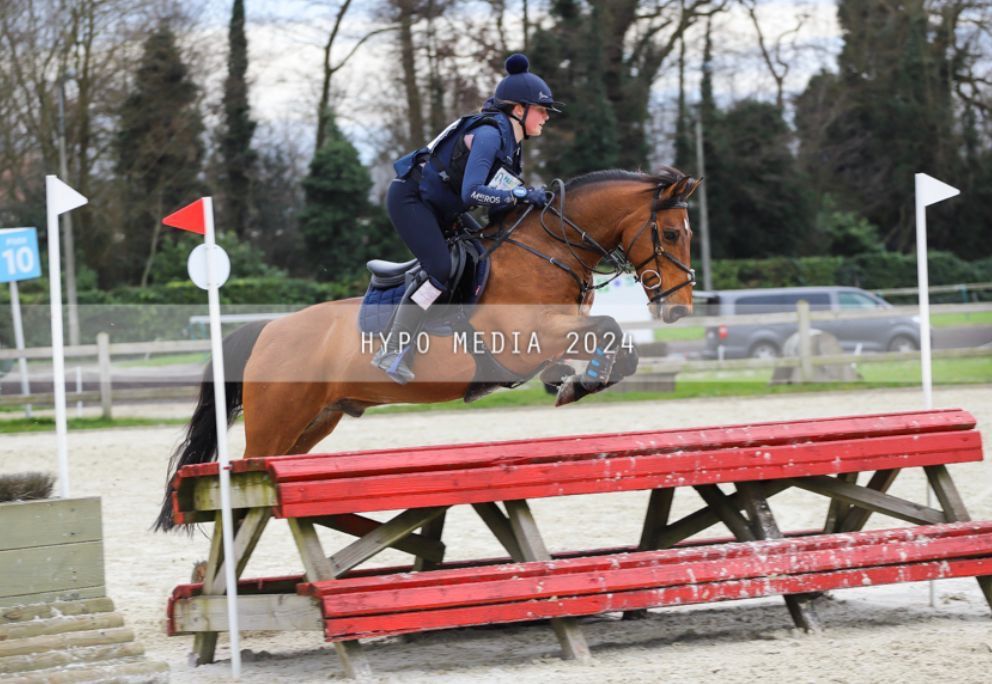 Te koop: fijne eventing pony