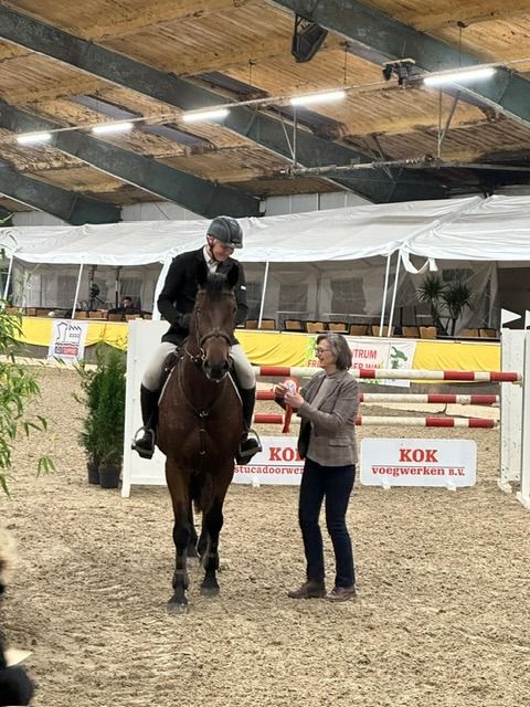 KWPN springpaard Ruin 11 jaar Bruin te koop - Foto 2