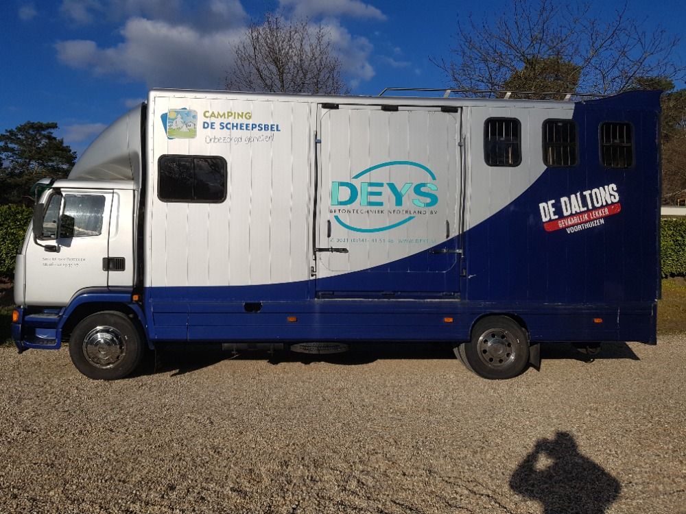 Grijs te koop - Foto 3