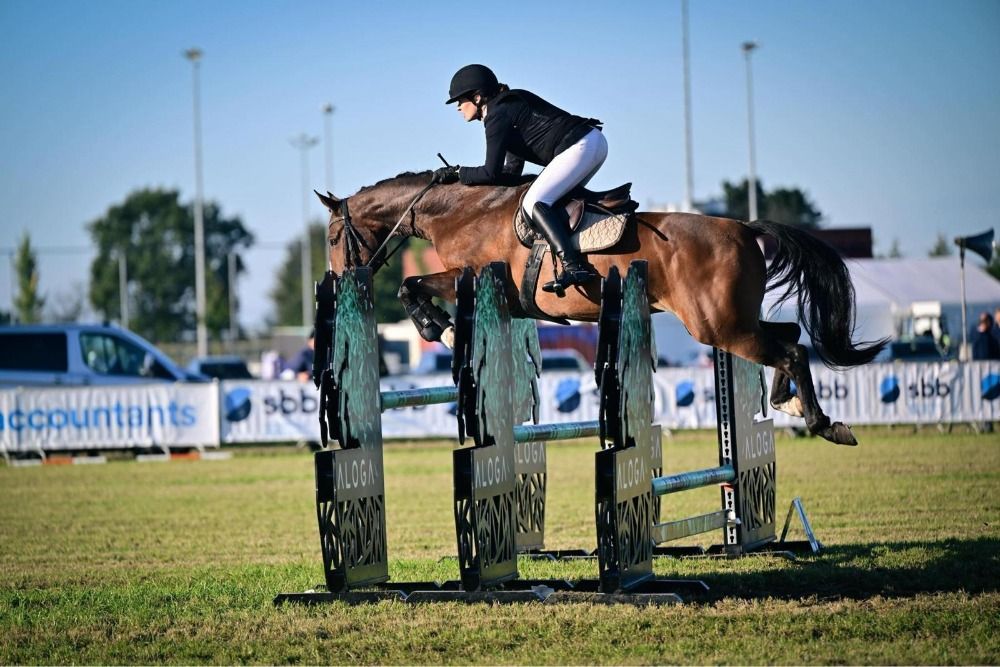 SBS springpaard Merrie 10 jaar Donkerbruin te koop - Foto 5