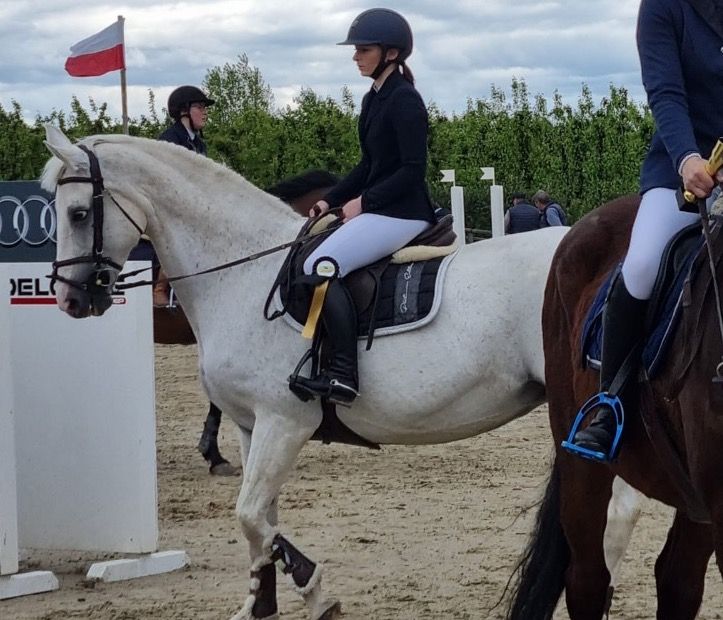 Westfalen paard Merrie 20 jaar Schimmel te koop - Foto 4