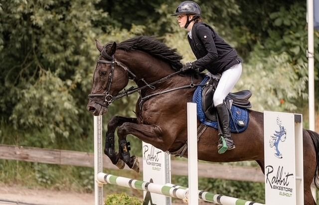 Zangersheide springpaard Merrie 8 years old Zwart for sale - Photo 5