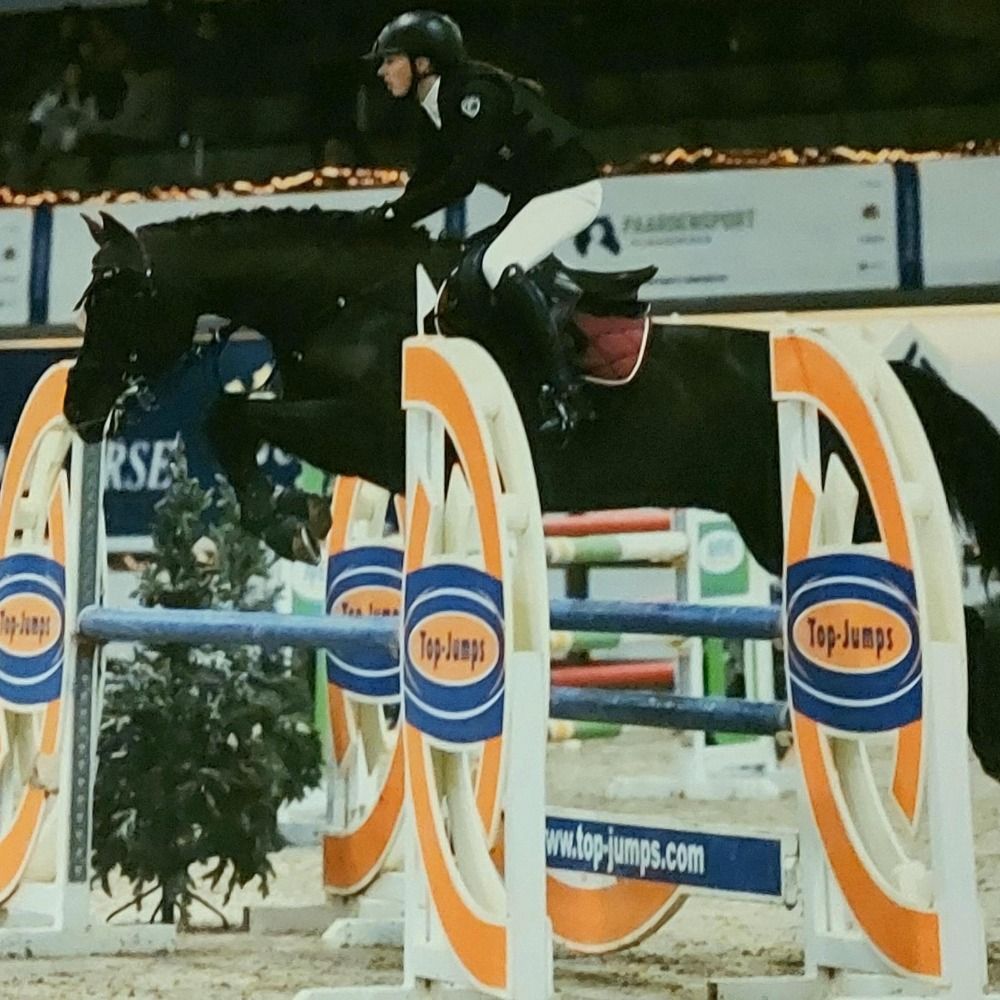 KWPN springpaard Ruin 13 jaar Zwart te koop - Foto 5