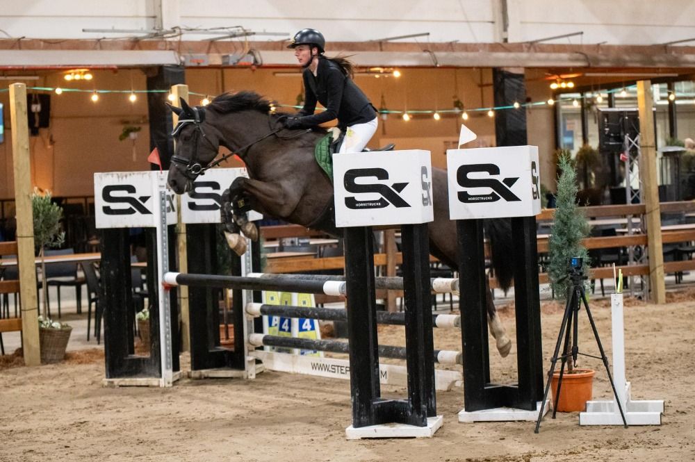 KWPN springpaard Ruin 13 jaar Zwart te koop - Foto 3