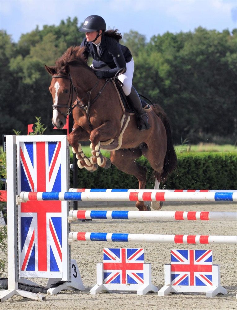 Quality Time Chestnut gelding competes at 1.30m with great ability