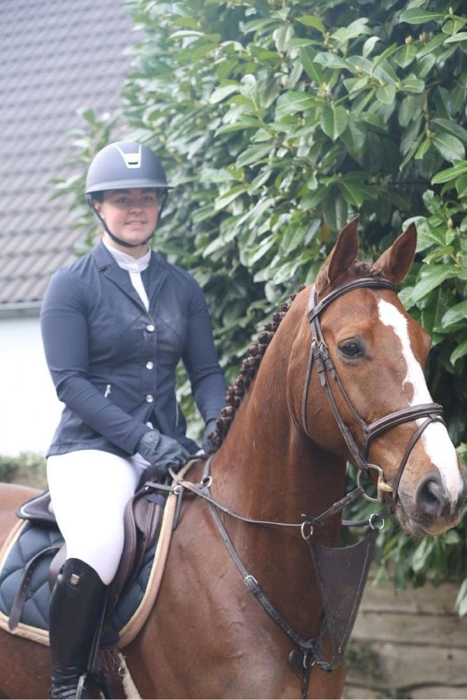 KWPN springpaard Ruin 12 years old Vos for sale - Photo 4