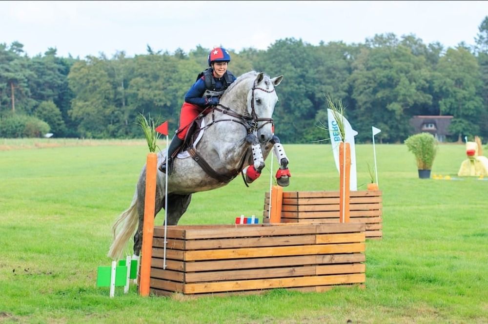 PRE dressuurpaard Ruin 7 jaar Schimmel te koop - Foto 2