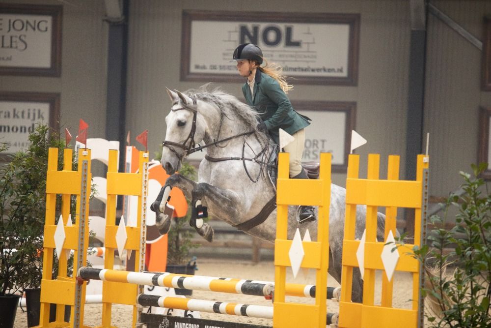 PRE dressuurpaard Ruin 7 jaar Schimmel te koop - Foto 6