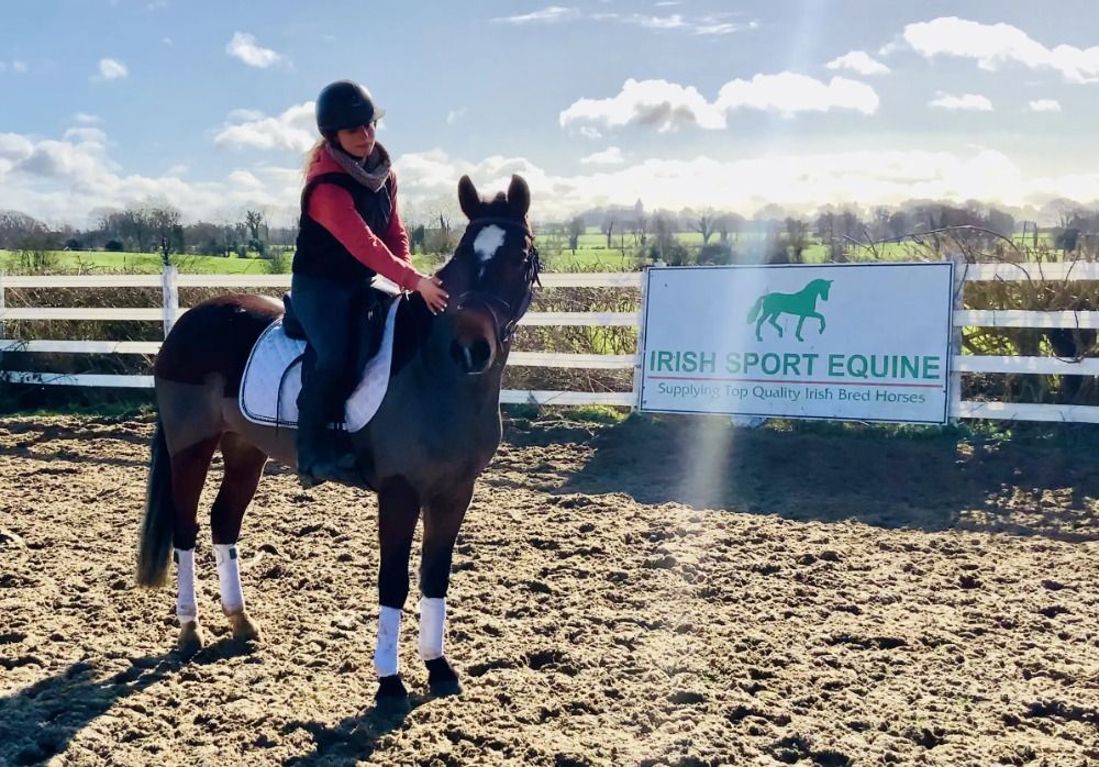Connemara allround-pony Merrie 4 jaar Bruin te koop - Foto 3