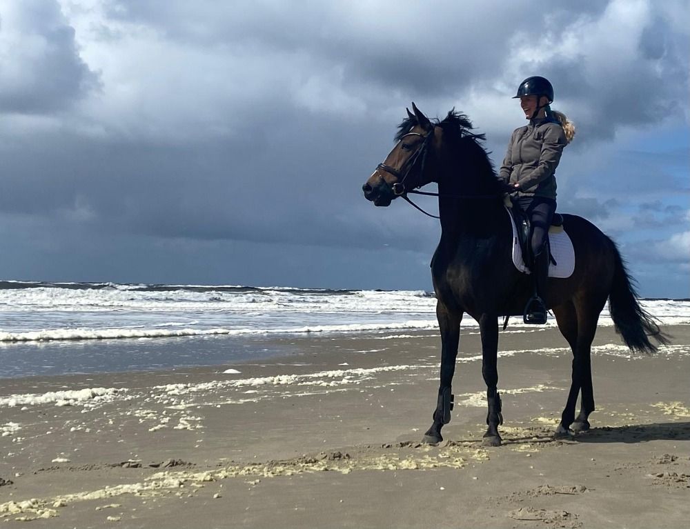 KWPN dressuurpaard Merrie 6 jaar Donkerbruin te koop - Foto 6