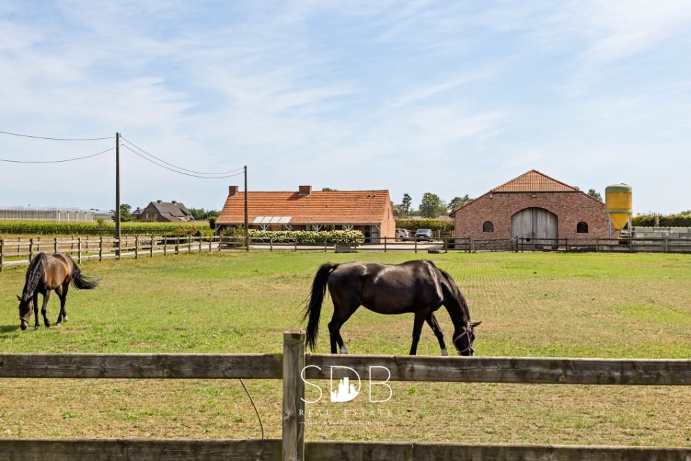 Prachtige landelijke woning met hippische accommodatie op 25.910m te Antwerpen | België - Foto 5